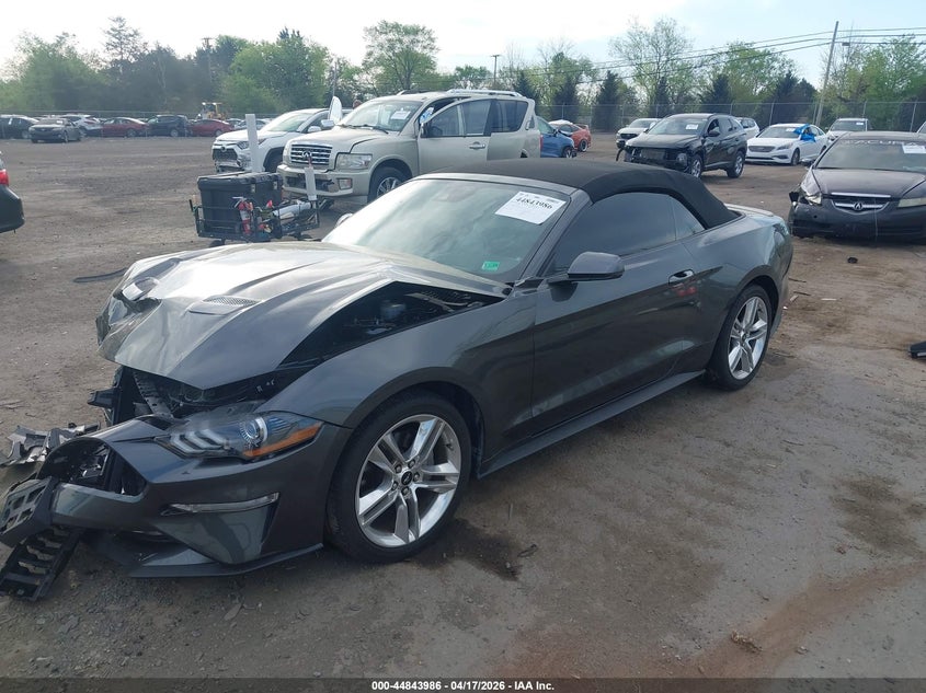 2019 Ford Mustang Ecoboost Premium 1FATP8UH6K5195802 photo 1