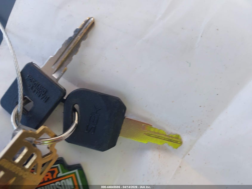 2014 Harley-Davidson Xl883 Iron 883 VIN: 1HD4LE218EC436546 Lot: 44845586