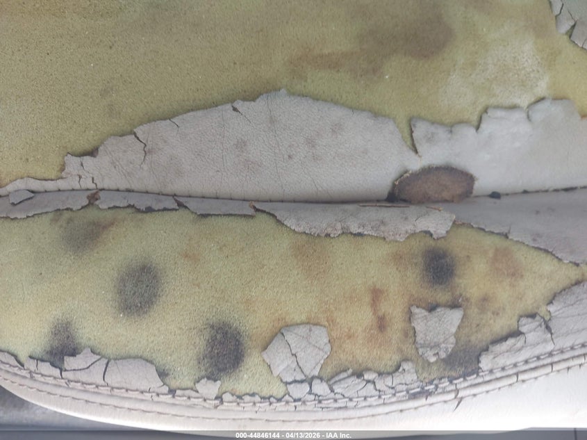 2006 Nissan Murano Sl VIN: JN8AZ08T36W424081 Lot: 44846144