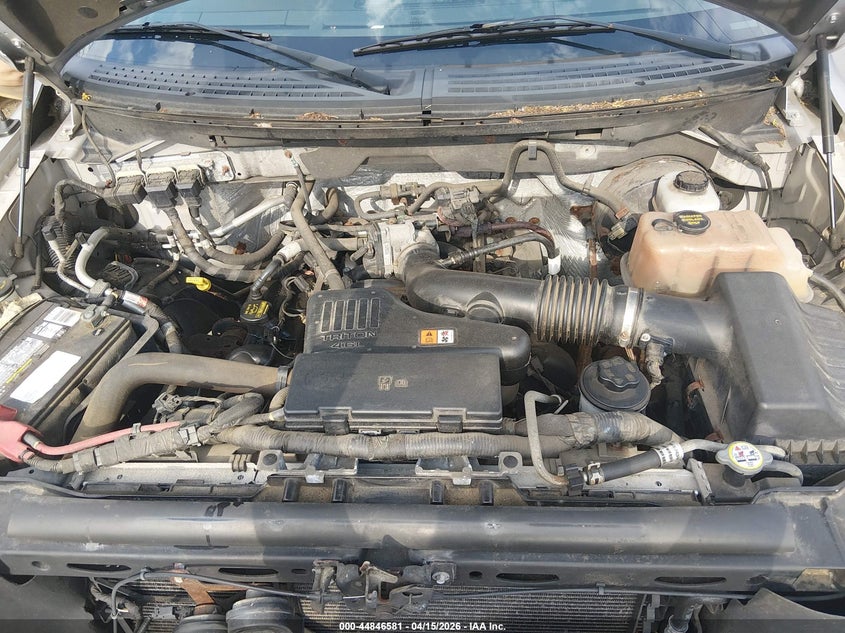 2010 Ford F-150 Stx/Xl VIN: 1FTEX1CW7AFFB0929 Lot: 44846581