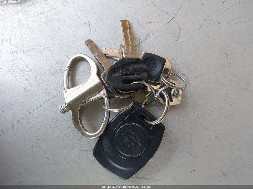 2024 Harley-Davidson Ra1250 Se VIN: 1HD1ZGS25RB955829 Lot: 44847310