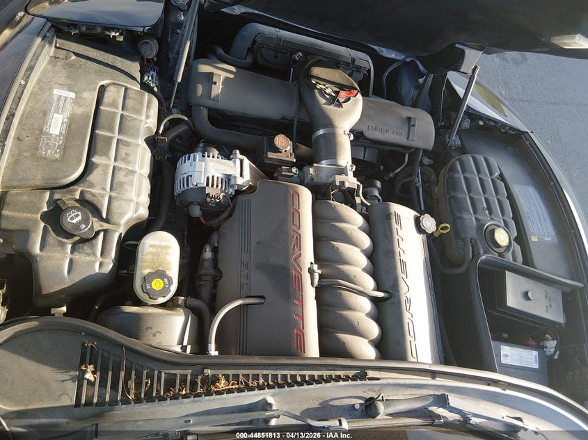 2002 Chevrolet Corvette VIN: 1G1YY32G125119391 Lot: 44851813