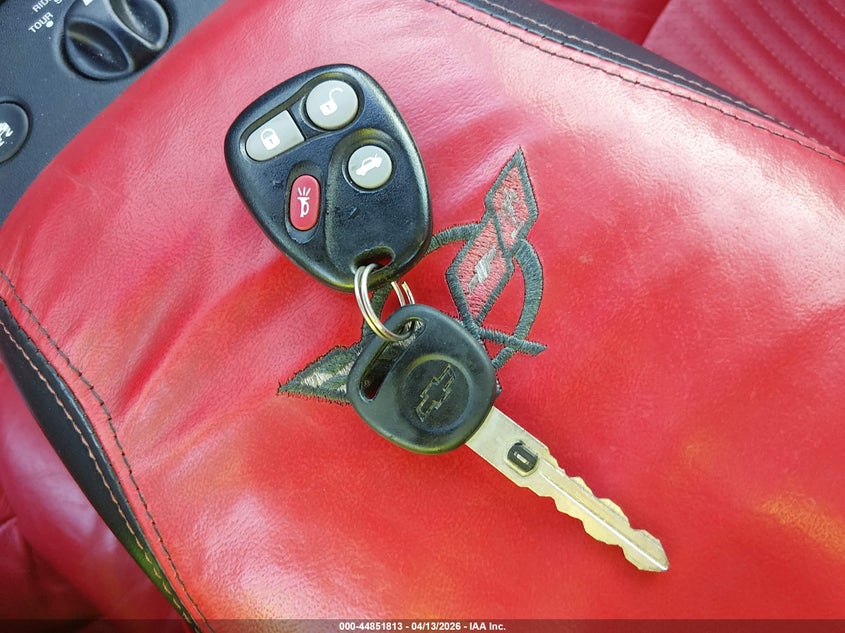 2002 Chevrolet Corvette VIN: 1G1YY32G125119391 Lot: 44851813