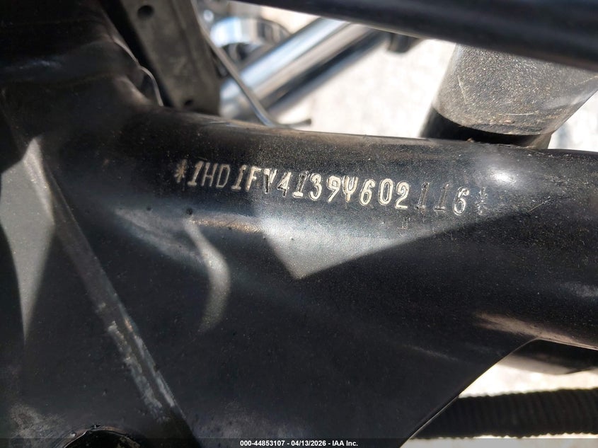 2009 Harley-Davidson Flht VIN: 1HD1FV4139Y602116 Lot: 44853107