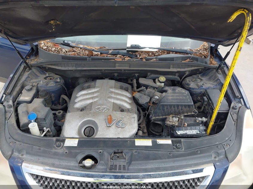 2007 Hyundai Veracruz Gls/Limited/Se VIN: KM8NU13C77U008861 Lot: 44854147