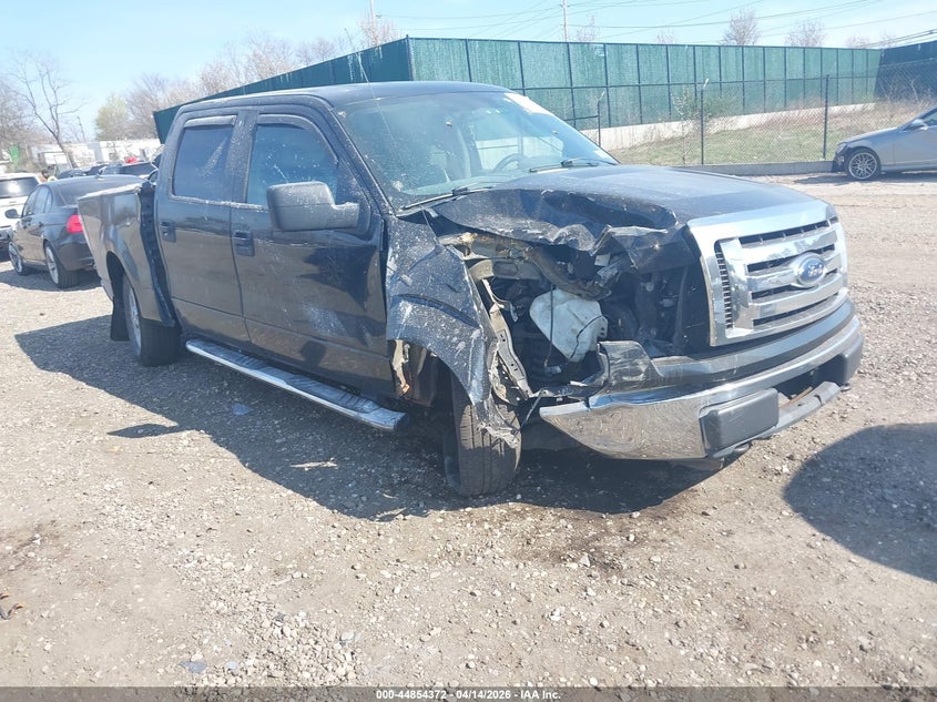 2010 Ford F-150 Fx4/Harley-Davidson/King Ranch/Lariat/Platinum/Xl/Xlt