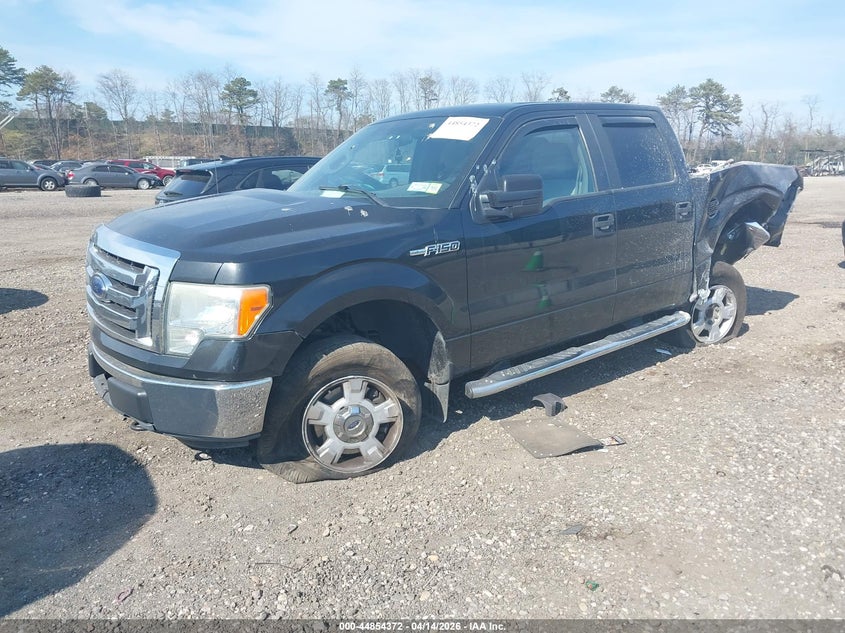 2010 Ford F-150 Fx4/Harley-Davidson/King Ranch/Lariat/Platinum/Xl/Xlt