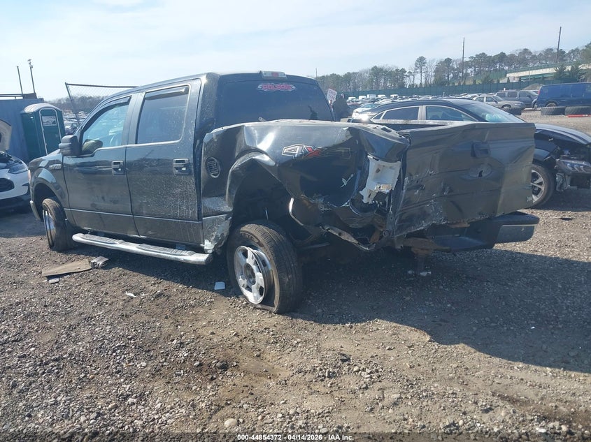 2010 Ford F-150 Fx4/Harley-Davidson/King Ranch/Lariat/Platinum/Xl/Xlt