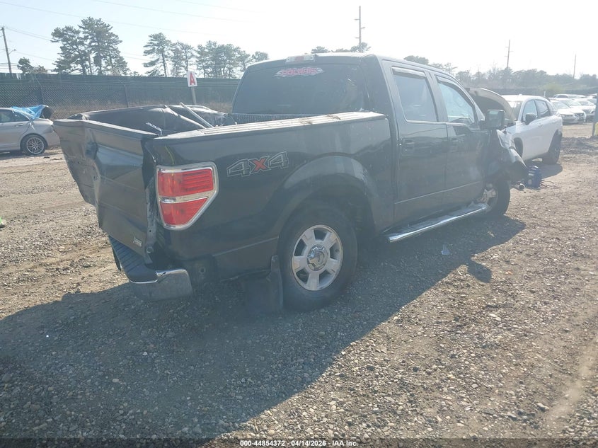2010 Ford F-150 Fx4/Harley-Davidson/King Ranch/Lariat/Platinum/Xl/Xlt