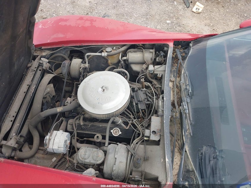 1981 Chevrolet Corvette VIN: 1G1AY8765BS428040 Lot: 44854896