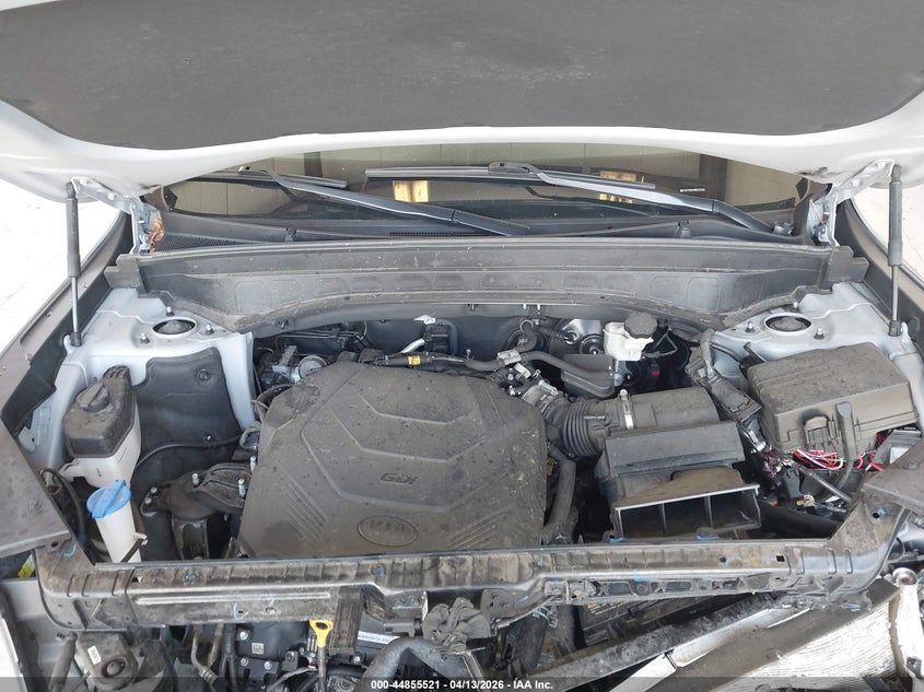 2021 Kia Telluride Ex VIN: 5XYP3DHC9MG181420 Lot: 44855521