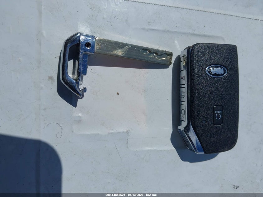 2021 Kia Telluride Ex VIN: 5XYP3DHC9MG181420 Lot: 44855521