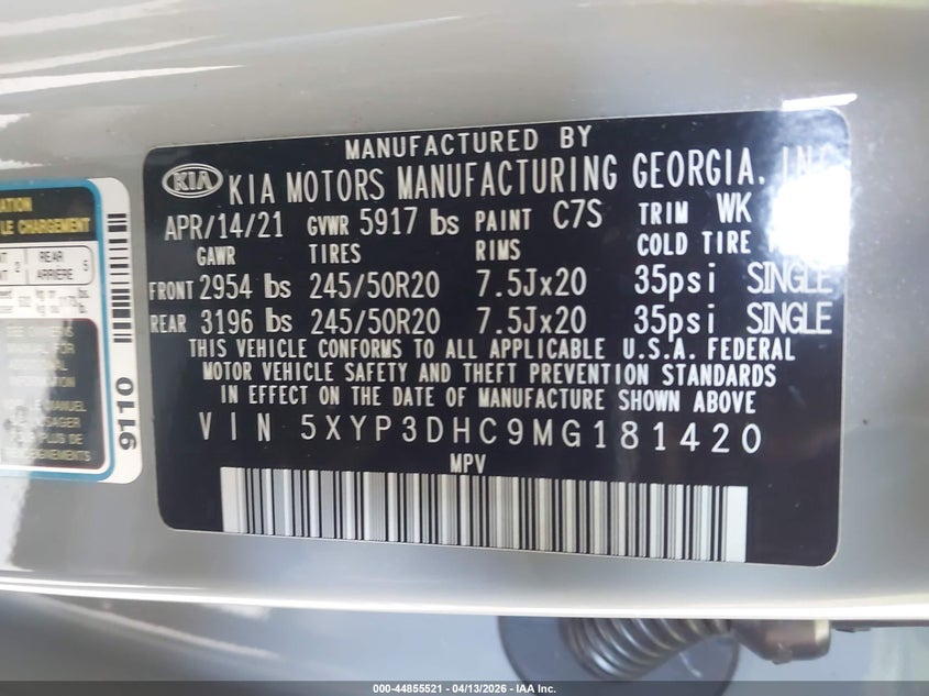 2021 Kia Telluride Ex VIN: 5XYP3DHC9MG181420 Lot: 44855521