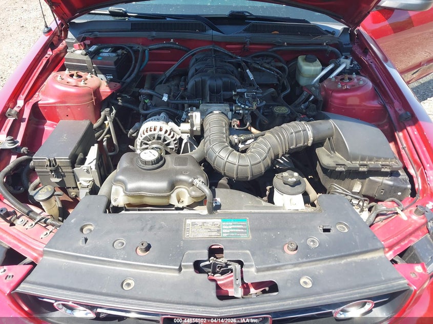 2006 Ford Mustang V6 VIN: 1ZVFT80N165260492 Lot: 44856502