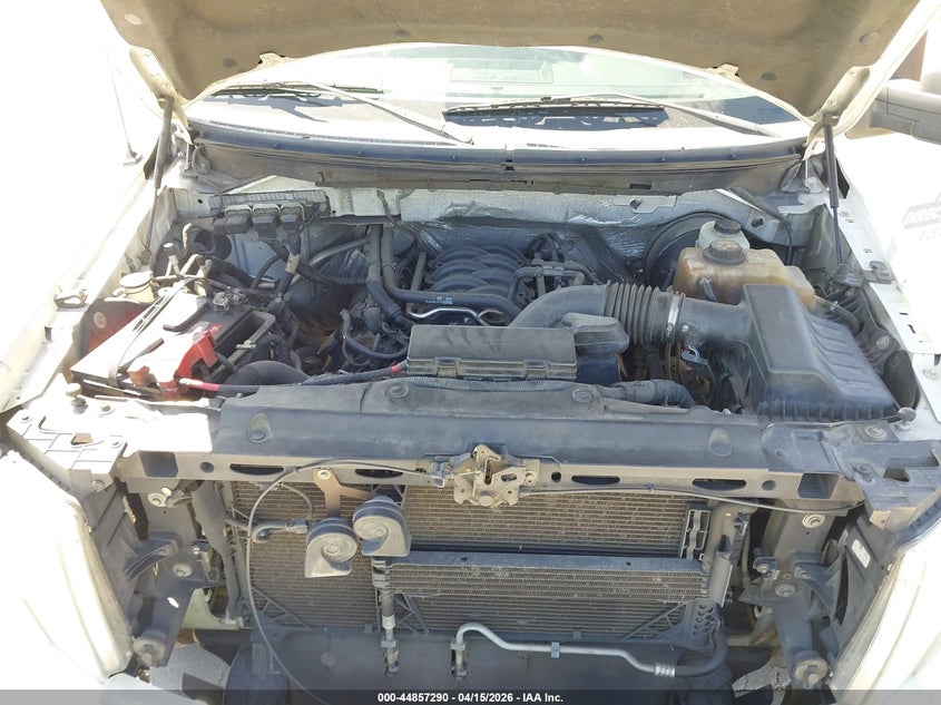 2013 Ford F-150 Stx VIN: 1FTFX1CF0DFA39671 Lot: 44857290