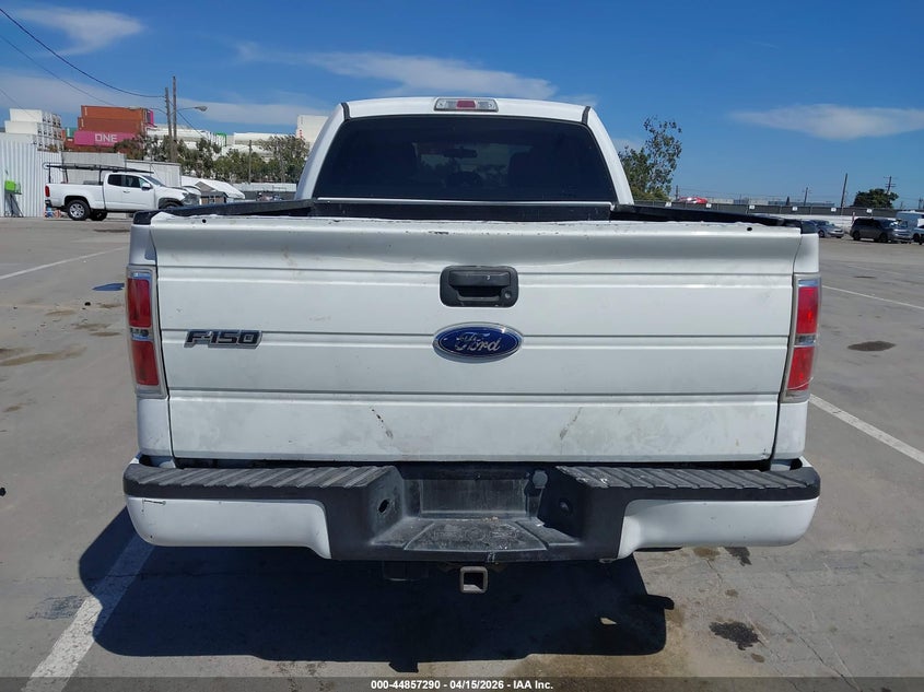 2013 Ford F-150 Stx VIN: 1FTFX1CF0DFA39671 Lot: 44857290