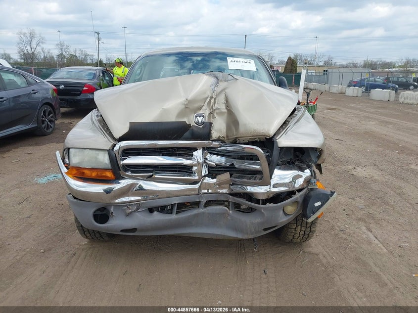 2003 Dodge Dakota Slt VIN: 1D7HL48N23S200393 Lot: 44857666