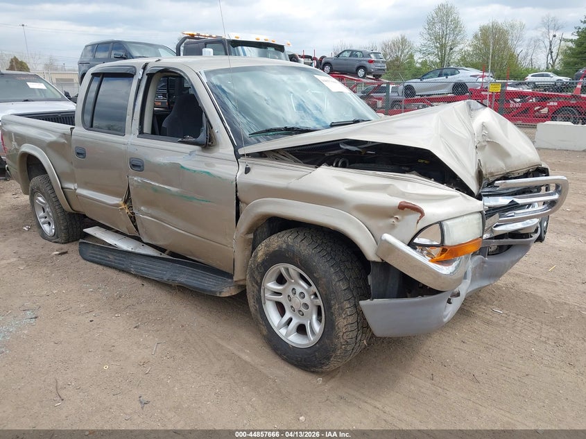 2003 Dodge Dakota Slt VIN: 1D7HL48N23S200393 Lot: 44857666