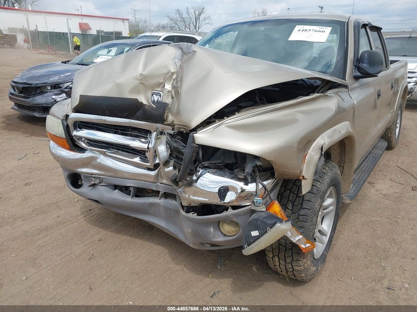 2003 Dodge Dakota Slt VIN: 1D7HL48N23S200393 Lot: 44857666