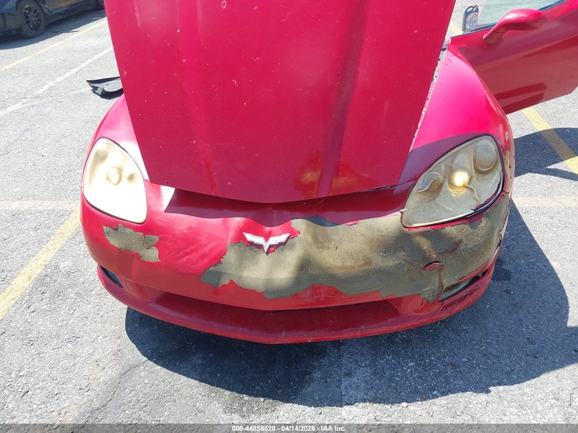 2009 Chevrolet Corvette VIN: 1G1YY25W195103201 Lot: 44858528