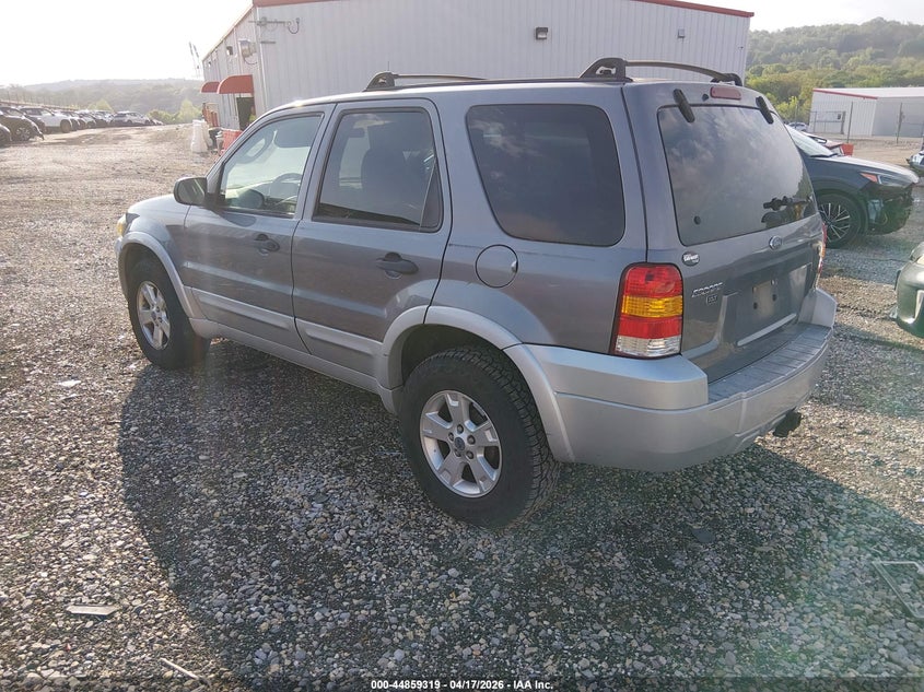 2007 Ford Escape Xlt/Xlt Sport