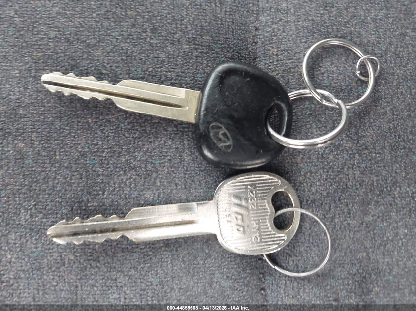 2004 Hyundai Santa Fe Gls/Lx VIN: KM8SC13EX4U785571 Lot: 44859668