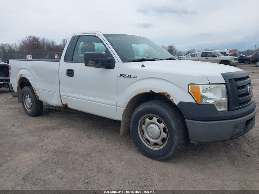 2010 Ford F-150 Xl/Xlt