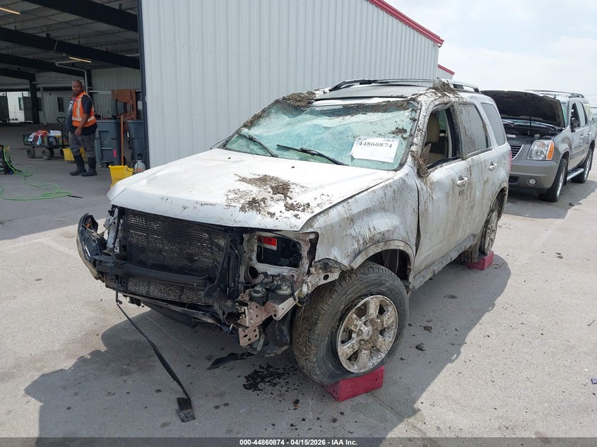 2010 Ford Escape Limited VIN: 1FMCU0EG5AKD45887 Lot: 44860874