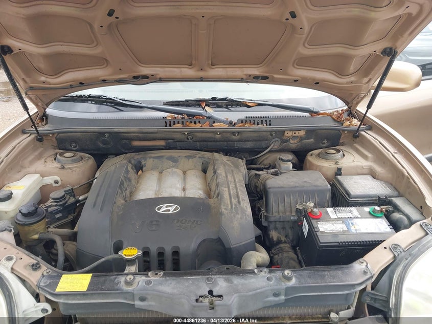 2003 Hyundai Santa Fe Gls/Lx VIN: KM8SC13D83U561351 Lot: 44861236