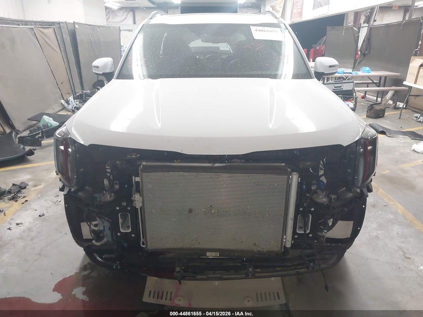 2025 Kia Telluride Ex X-Pro VIN: 5XYP3DGC1SG635576 Lot: 44861655