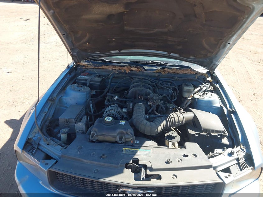 2007 Ford Mustang V6 Deluxe/V6 Premium VIN: 1ZVFT84N975309241 Lot: 44861891