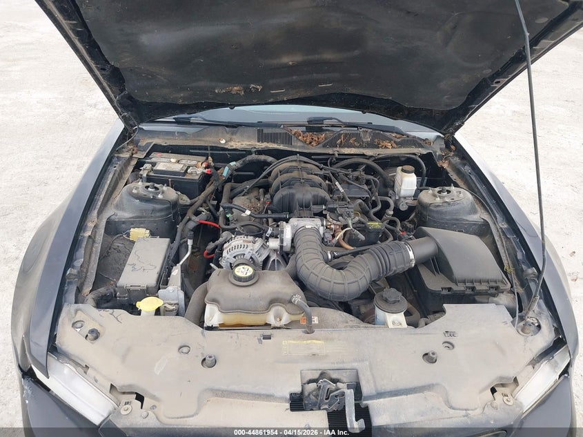 2010 Ford Mustang V6/V6 Premium VIN: 1ZVBP8AN3A5132166 Lot: 44861954