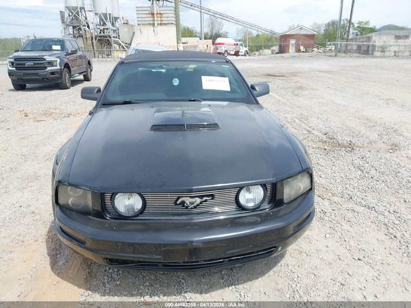 2006 Ford Mustang Gt VIN: 1ZVHT85H265163202 Lot: 44862259