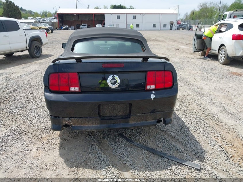 2006 Ford Mustang Gt VIN: 1ZVHT85H265163202 Lot: 44862259