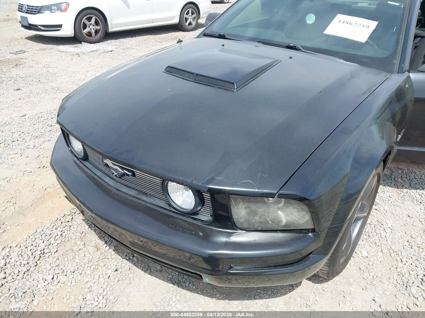 2006 Ford Mustang Gt VIN: 1ZVHT85H265163202 Lot: 44862259