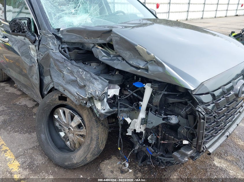 2025 Hyundai Palisade Sel VIN: KM8R2DGE7SU882124 Lot: 44863054