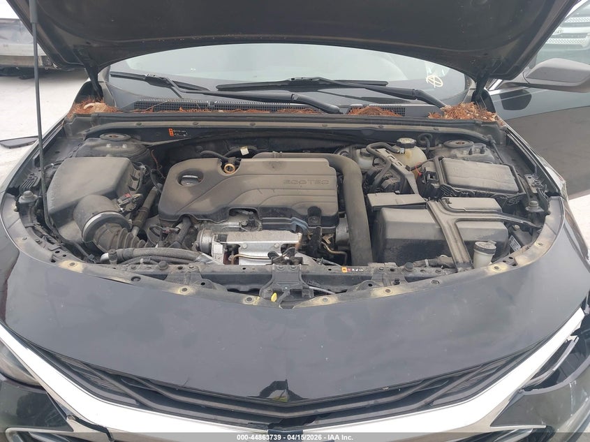 VIN 1G1ZB5ST6KF145249 2019 CHEVROLET MALIBU 1LS