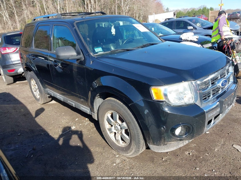 2010 Ford Escape Limited