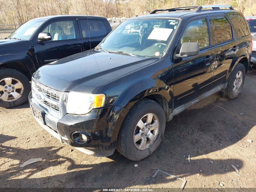 2010 Ford Escape Limited