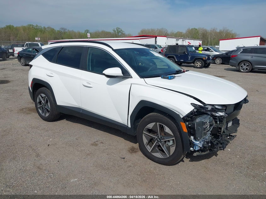 2025 Hyundai Tucson Sel VIN: 5NMJBCDE2SH451746 Lot: 44864366
