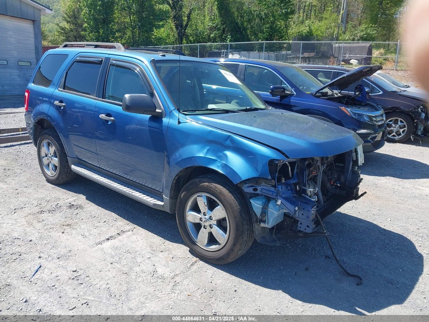 2010 FORD ESCAPE XLT