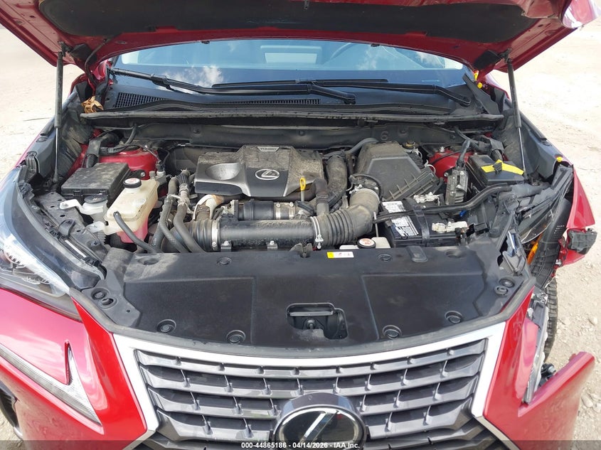 2020 Lexus Nx 300 VIN: JTJDARDZ4L5016105 Lot: 44865186