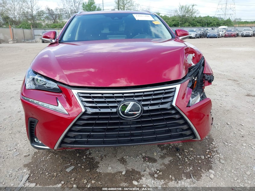 2020 Lexus Nx 300 VIN: JTJDARDZ4L5016105 Lot: 44865186