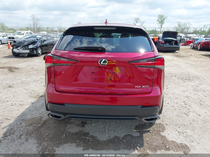 2020 Lexus Nx 300 VIN: JTJDARDZ4L5016105 Lot: 44865186