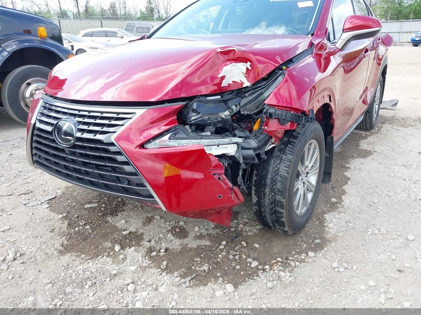 2020 Lexus Nx 300 VIN: JTJDARDZ4L5016105 Lot: 44865186