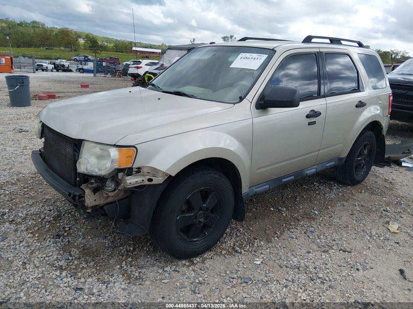 2011 Ford Escape Xlt