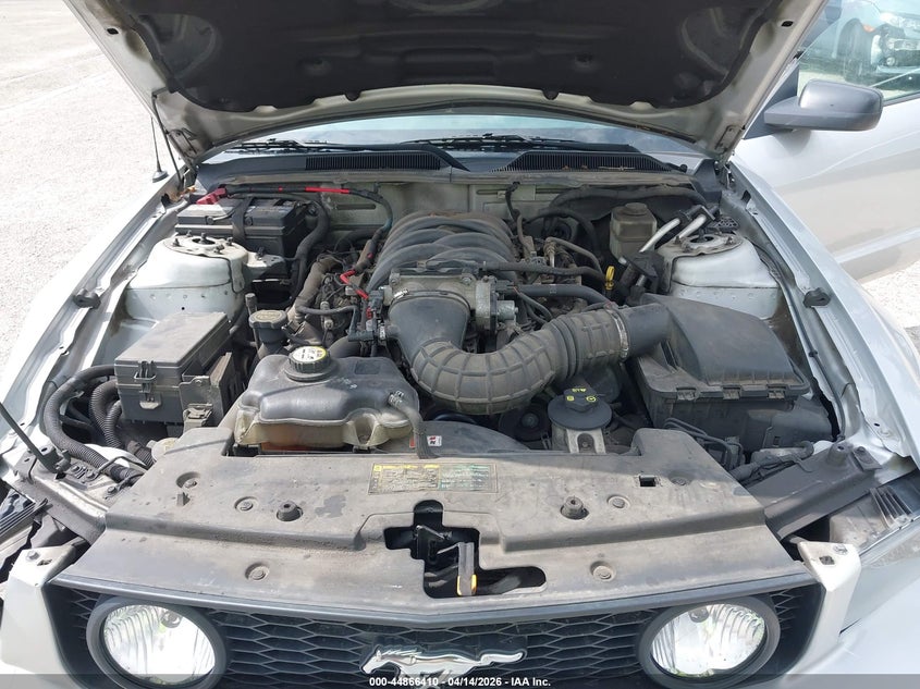 2006 Ford Mustang Gt VIN: 1ZVFT82H665142638 Lot: 44866410