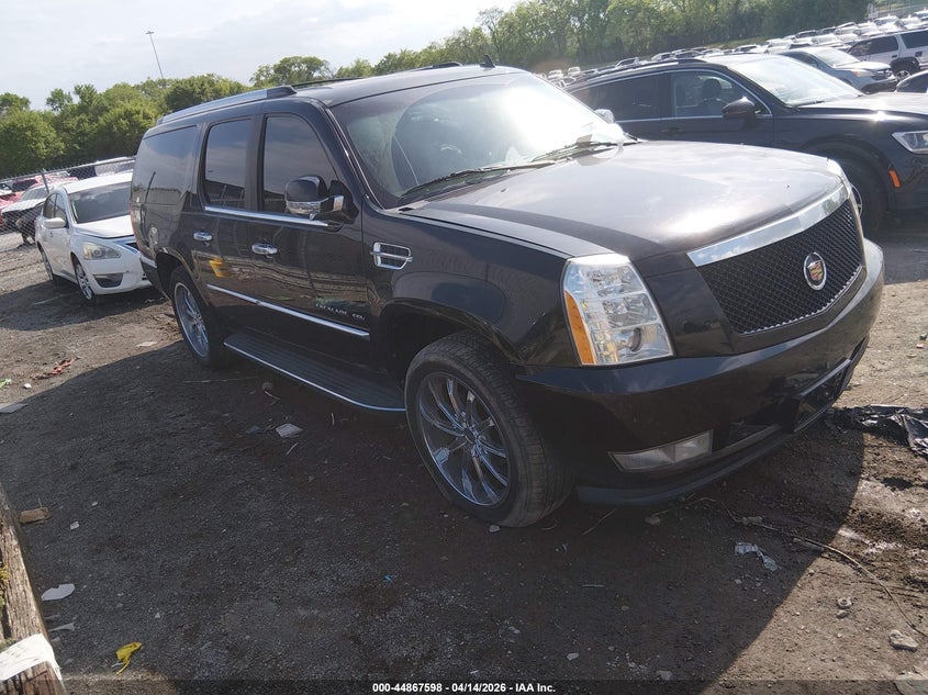 2010 Cadillac Escalade Esv Luxury