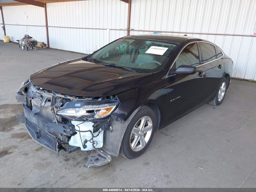 2023 Chevrolet Malibu Fwd Ls 1G1ZB5ST7PF113109 photo 1