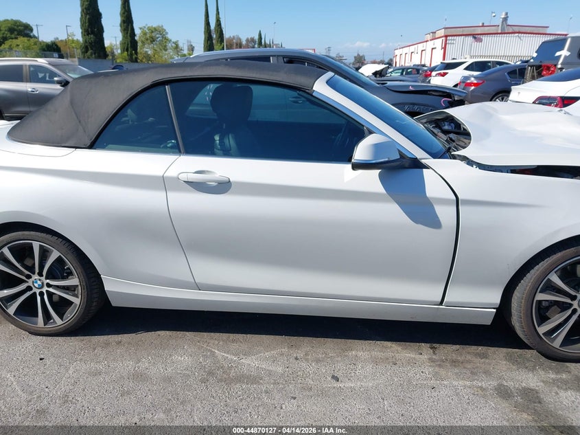 2020 BMW 230I VIN: WBA2M7C08L7F19309 Lot: 44870127